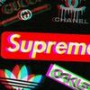 gucciadam16617